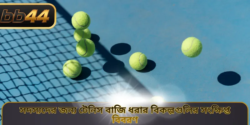 সদস্যদের জন্য টেনিস বাজি ধরার বিকল্পগুলির সংক্ষিপ্ত বিবরণ